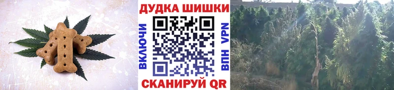 гидра ТОР  Барыш  Canna-Cookies конопля 