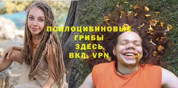 дурь Пестово