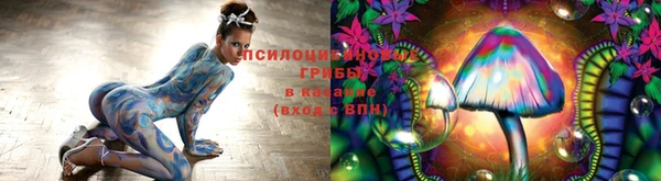 шишки Алзамай