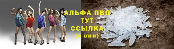 соль ск Пересвет