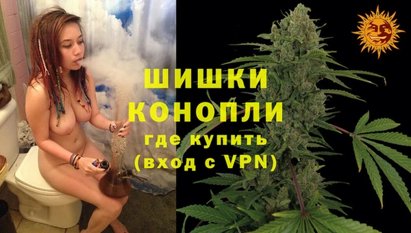 шишки Алзамай
