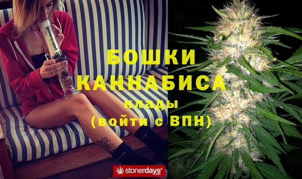 соль ск Пересвет
