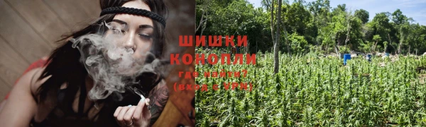 соль ск Пересвет