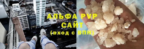 PSILOCYBIN Переславль-Залесский